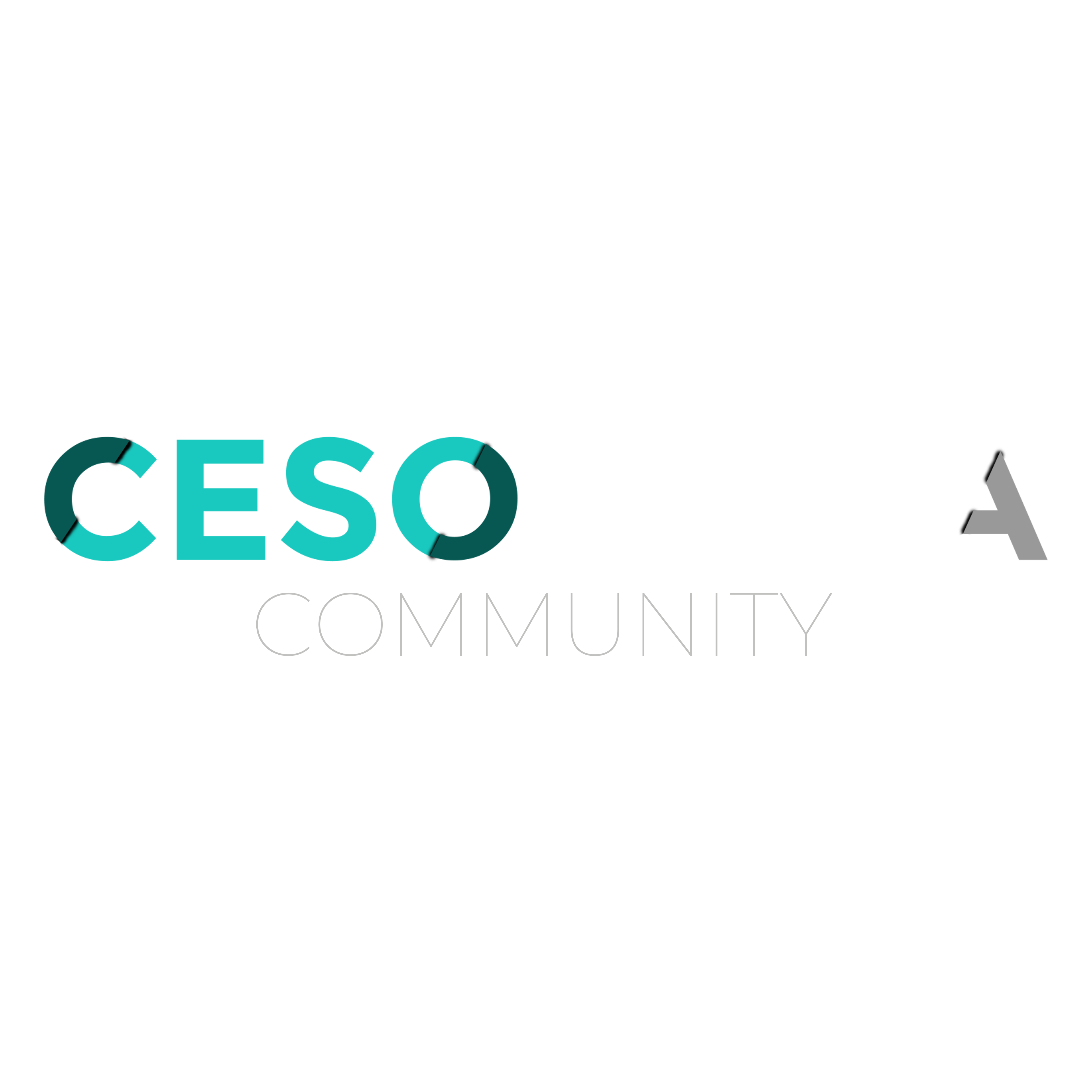 Lietuvos Counter-Strike Bendruomenė